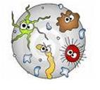 a world with different species of germs on it
